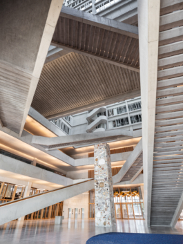 Simon Iannelli Fotografie