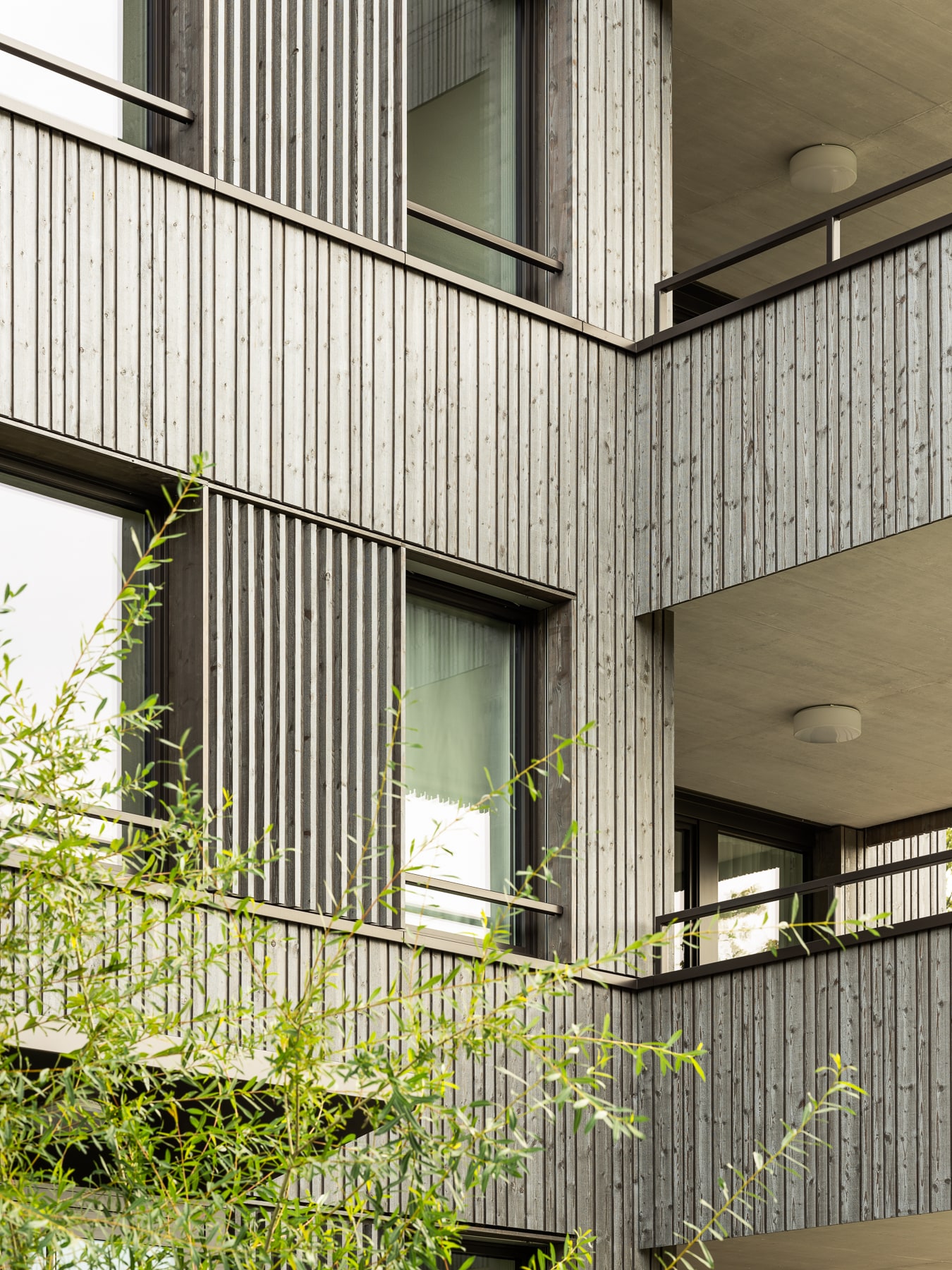 Simon Iannelli Fotografie